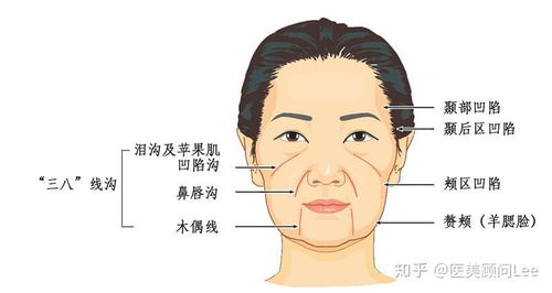 I．额头与眉区褶绵解析