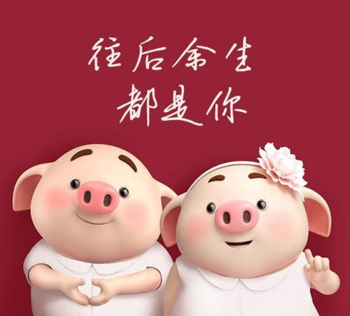 1959年属猪的人2026年全年运势详解具体包括哪些方面？