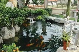 友谊提示：针对特定房屋结构的風水建议