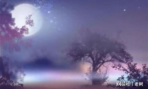 月落乌啼霜满天，江枫渔火对愁眠？如何诠释古典诗词之美？