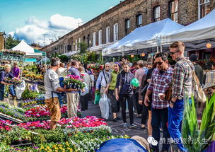 如何抵达这片“乐园”：一场史诗级的交通折磨