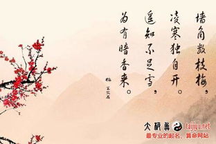 女孩名字中用姝字起名，这样的名字吉凶如何？