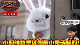 一、夜较深人静，恐慌与依恋的交织：解读童话背后的情感内核