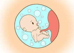 婚姻相容性评估