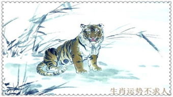 属虎和属兔26年感情，他们的婚姻结局会是怎样的呢？