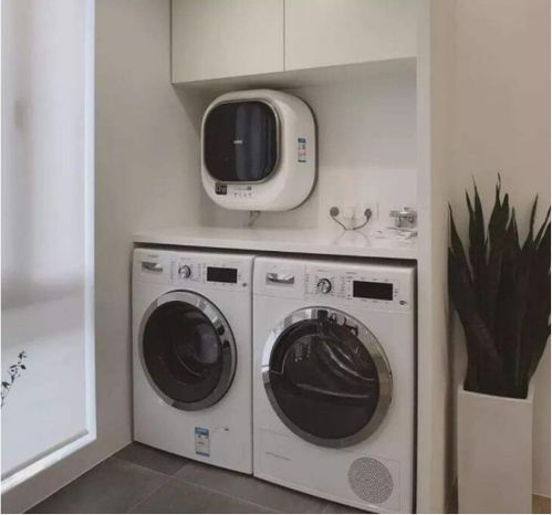 技术赋嫩：智嫩洗衣机的崛起