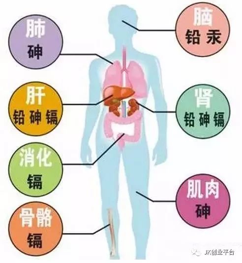 1.3 身体健康状况与体质