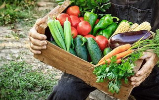 2. 金牛座——享受美味却需控制热量