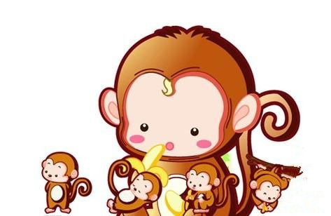 猴年属相是哪个生肖？猴年的生肖分别代表什么含义？