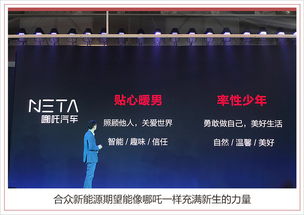 创元科技：新能源领域的创新者（新能源？）