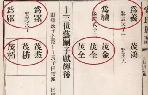 1.2 色彩乱入——彩虹版证书来了！