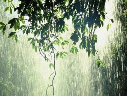 年逢大旱对应哪个生肖？大风大雨又代表哪个生肖的含义是什么？