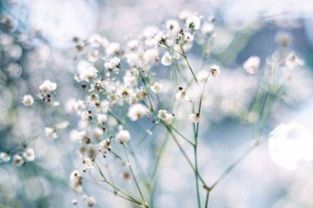 那些让人尴尬的微信名