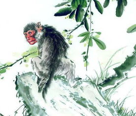 今年九月属猴人的财运如何，具体意味着什么？