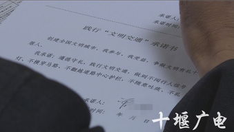 三、血债难偿：暴力催收中的过错相对理论应用