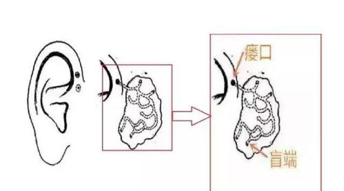 耳色与斑痣：健康与福寿的象征指示