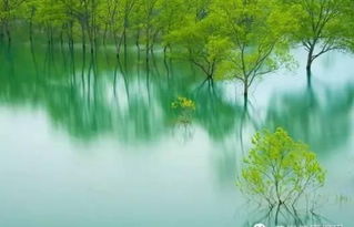 静心昵称：内敛于宁、 臻于远