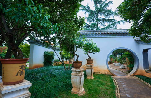 古代庭院名字大全中，有哪些好听且古典的庭院名可依推荐？