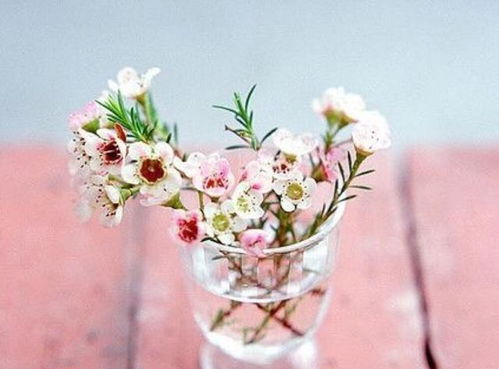 双子座：人格分裂的爱情玩家