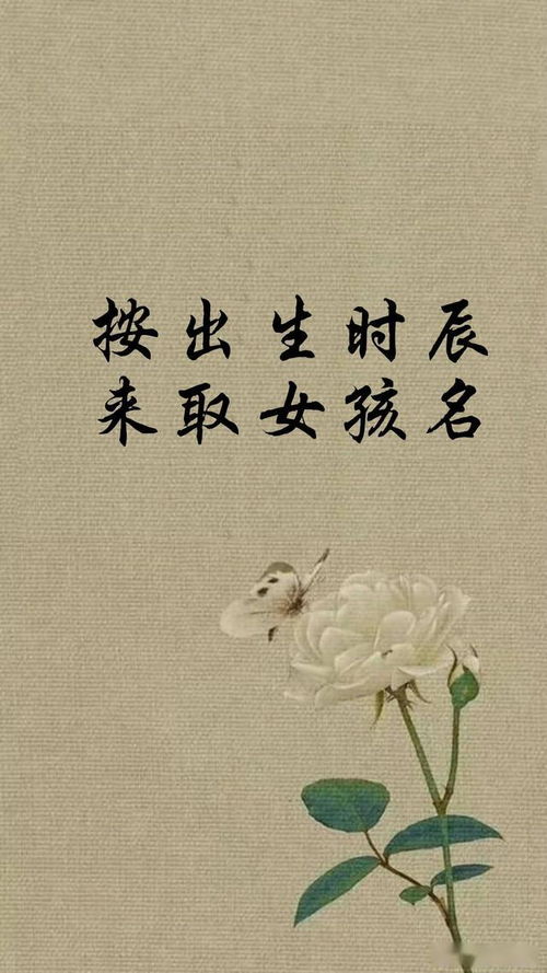 再来说说五行到底是哪五行