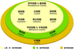 一、 种生基概念之阐释与理论根源
