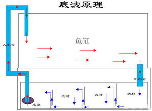 一、鱼缸形状与五行属性