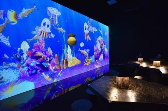 济州岛水族馆大揭秘：2026年黄历显示这天去会被鱼咬？！