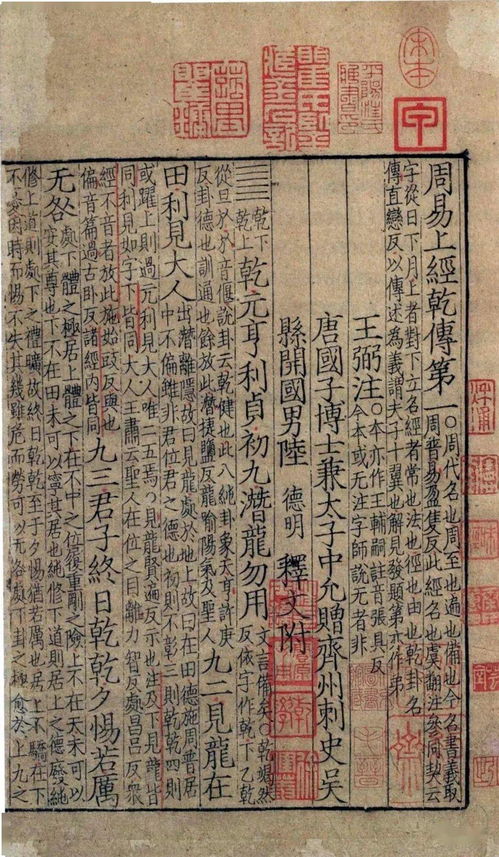：荒废图书馆中的不寻常发觉