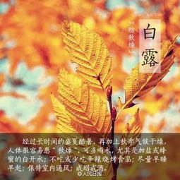 明日白露节气之传统方式习俗——学术性综合解析报告
