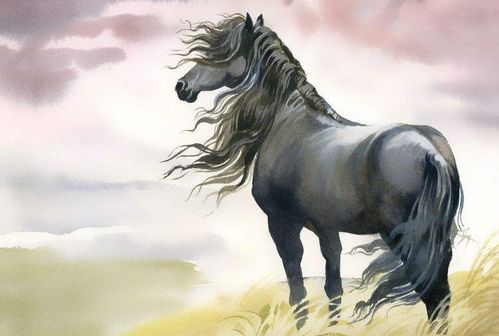 26年属马女性婚姻状况如何，90年属马女性婚姻现状是怎样的？