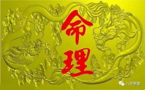 八字中三大贵人俱全，占全十大贵人，命运如何？