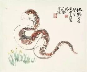 窥字是什么生肖？难道是神秘莫测的属蛇吗？