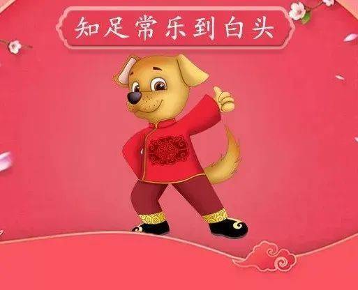 属狗女性群体：强较大势却简单被误读的温柔面具