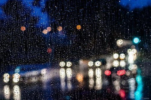 四、 雨夜氛围渲染与心理状态暗示