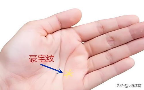 富贵手相女和女手相大全分别有哪些特点？