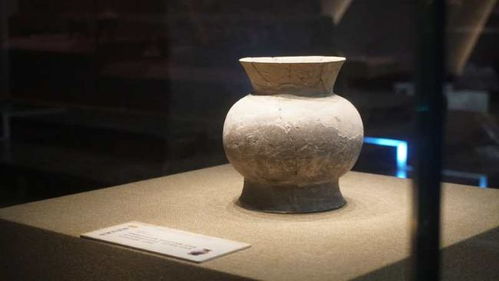 “琴”字寓意的解读