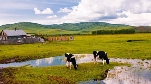 3. 住宿体验天差地别——这段经历可依写成一本小说！！！