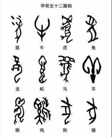 这十二生肖中，哪个生肖在这不是汉字中消失了？