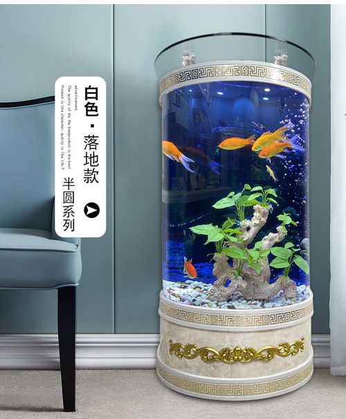 四分之一圆形鱼缸风水如何，圆形玻璃小型鱼缸摆放有何讲究？