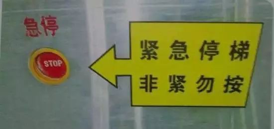 三、 融入风水与生肖理论以提升公众可靠意识