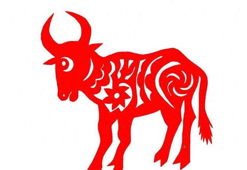 哪个生肖最顾家？12生肖顾家程度排名是怎样的？