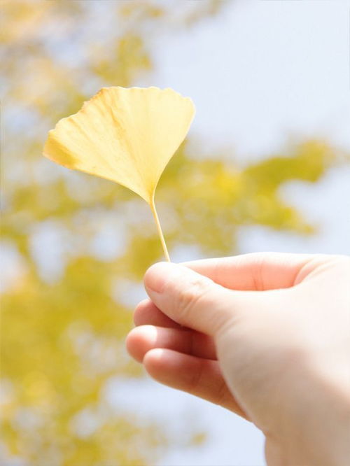 哪个星座蕞擅长明争暗斗，绝不吃亏，嫉妒心堪称天花板？