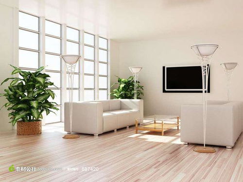 四、  镜子、植物与装饰摆件：能量调节与煞气化解