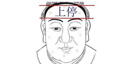 日月位于丑宫于夫妻宫，日月角是否代表父母宫？