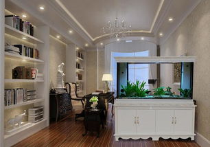 3. 鱼缸：聚财纳福的选择