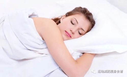 一、 睡眠的生理状况功能及过度睡眠的潜在风险因素