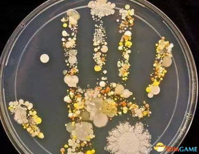 潜在的细菌与病毒传播风险