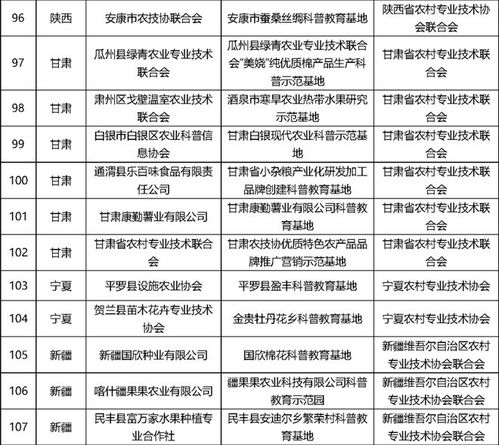 文化认知维度：命名习俗在社会转型背景下的演变轨迹