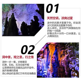 对抗性观点：优惠≠普及历史持续发展