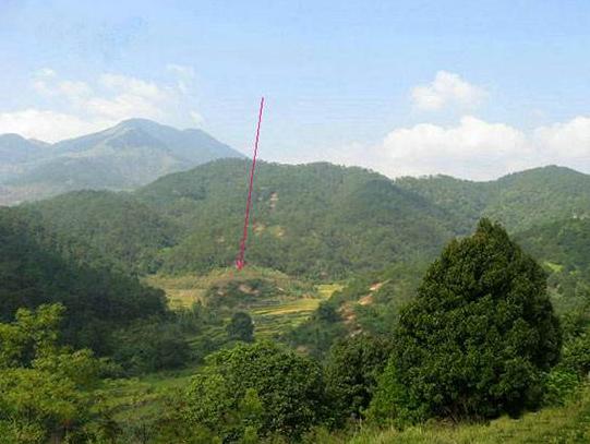 广西昭平李宗仁祖坟风水如何影响家族运势？